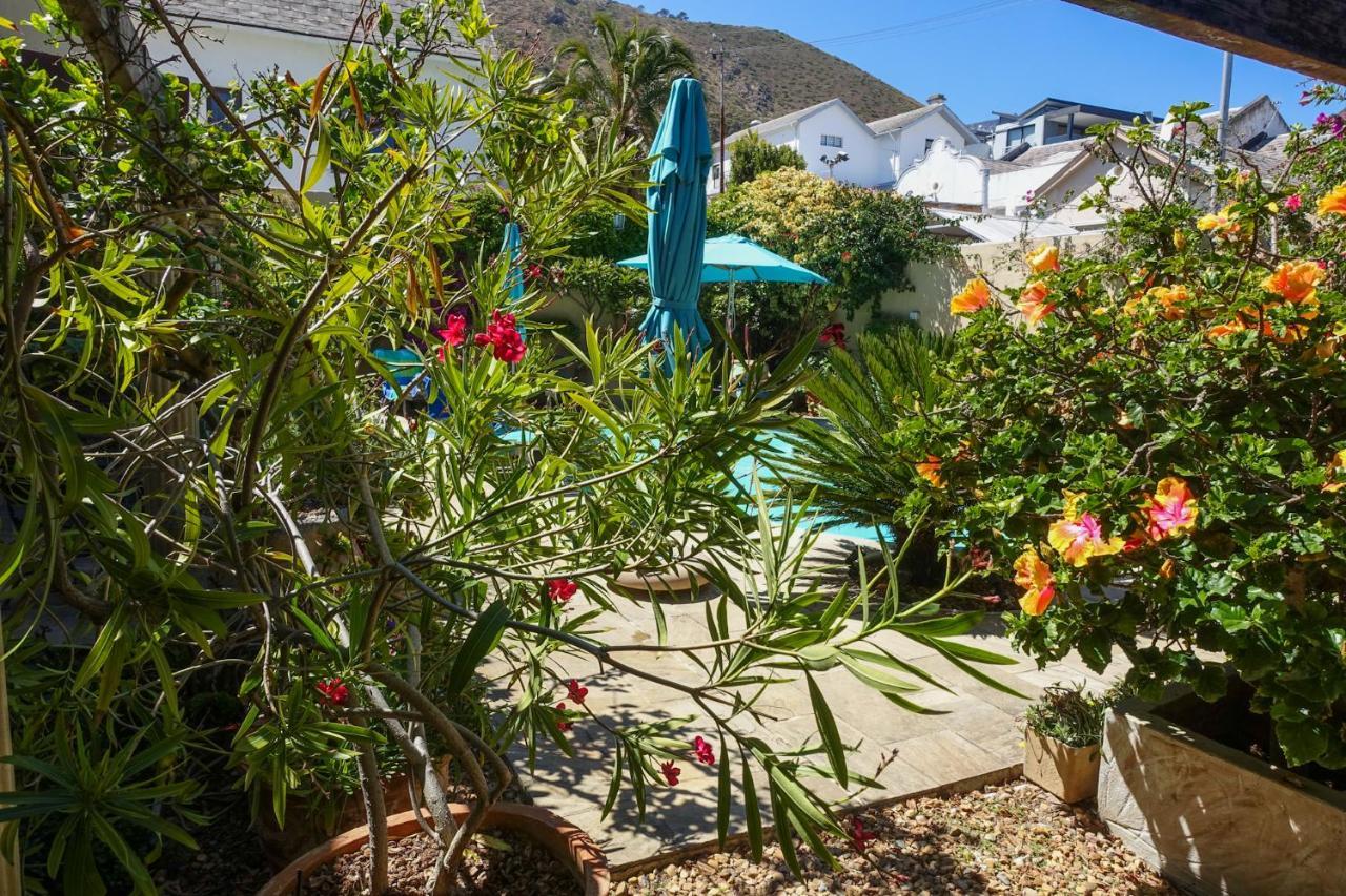 Rosedene Lodge - 24H Solar With Pool And Garden Cidade Do Cabo Exterior foto